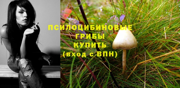 тгк Иннополис