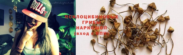 не бодяженный Инта