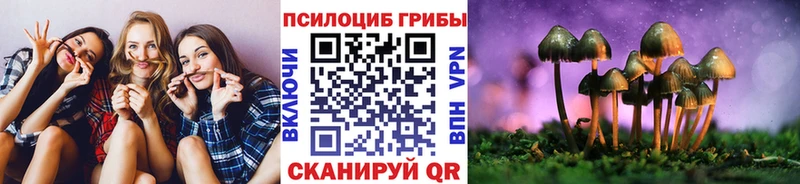 Галлюциногенные грибы мухоморы  где найти   Игра 